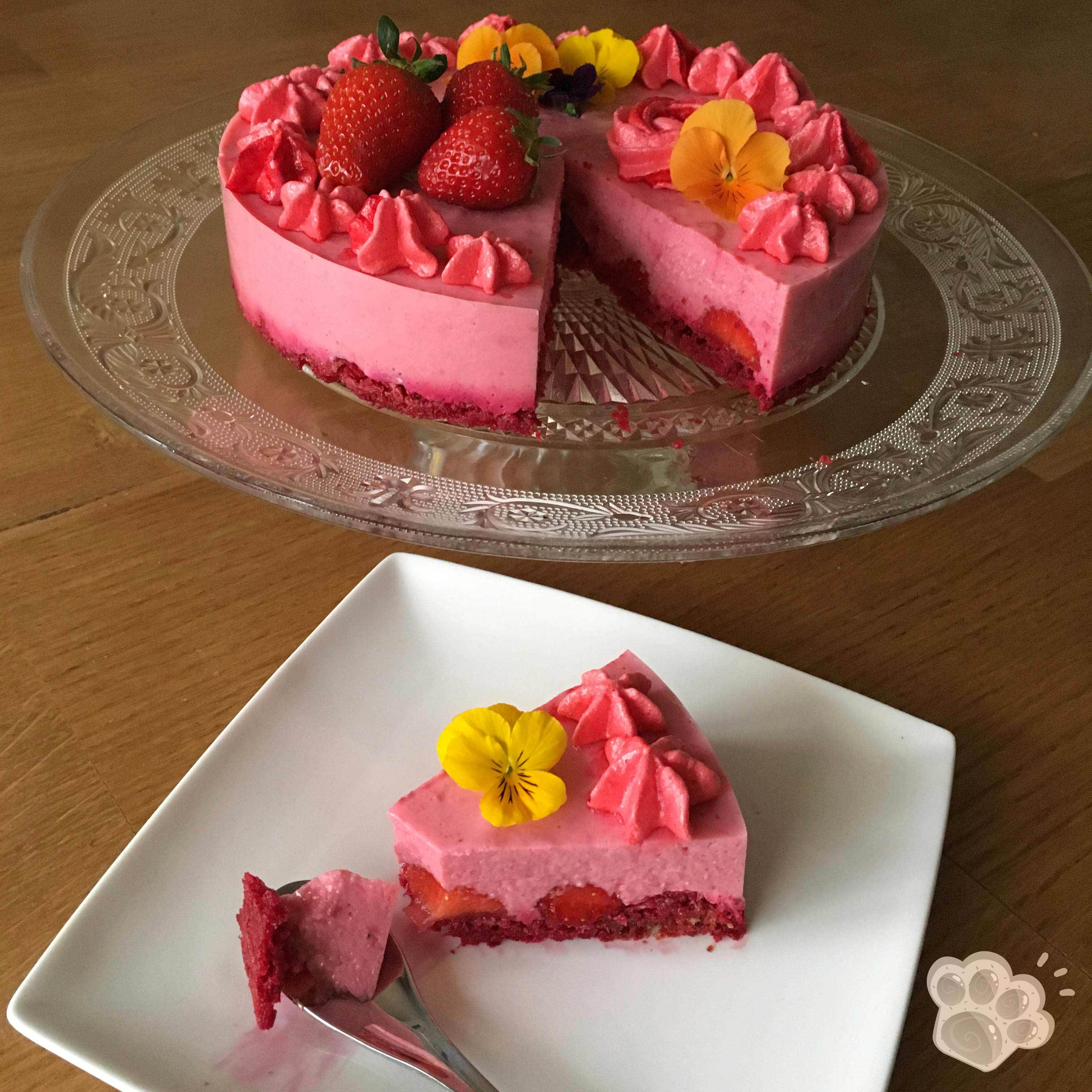 Quelles Fleurs Pour Decorer Une Tarte Quelles Fleurs Pour Decorer Une Tarte