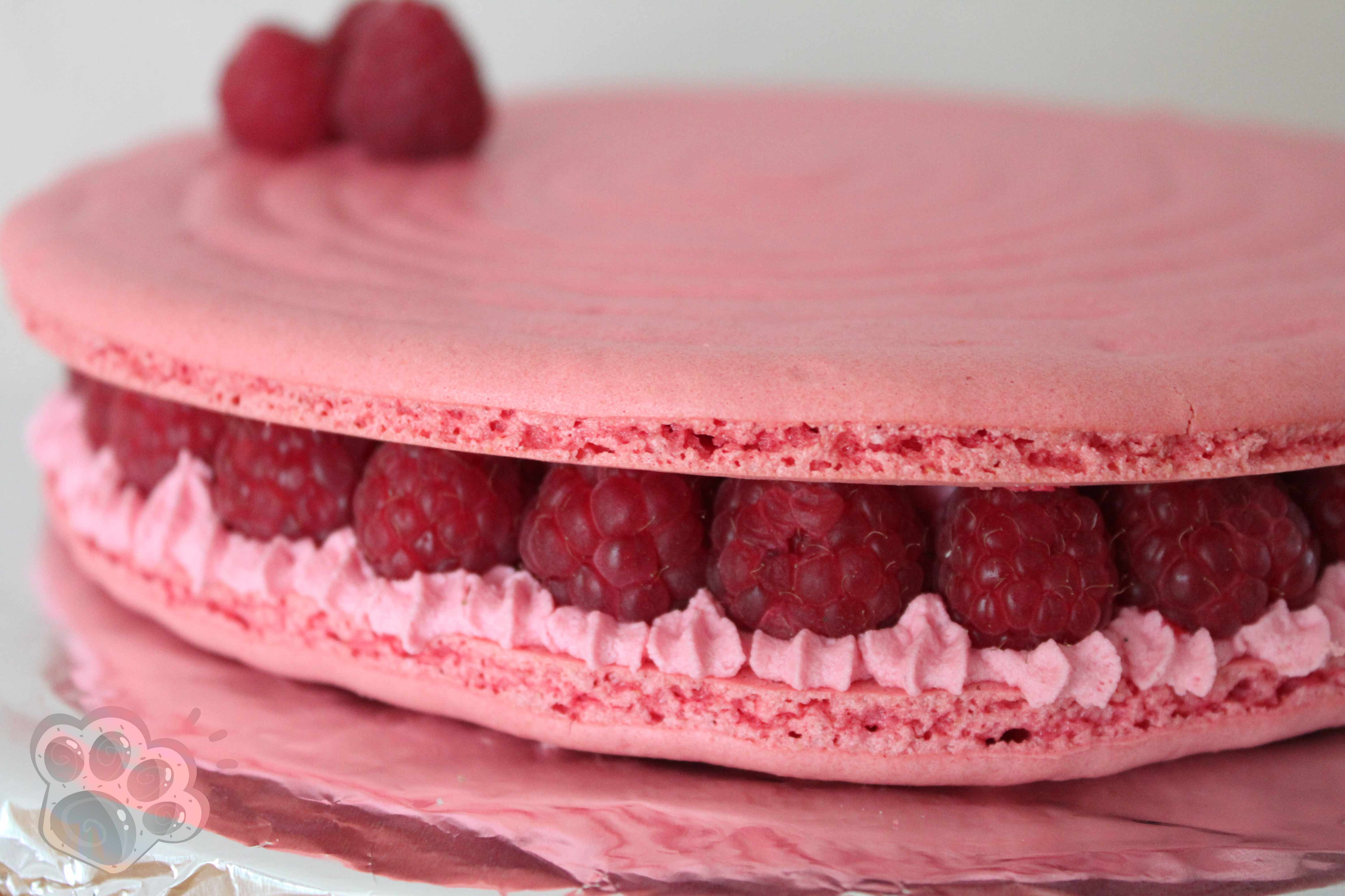 Macaron Geant Rond A La Framboise La Pate D Amanda Macaron Geant Rond A La Framboise La Pate D Amanda