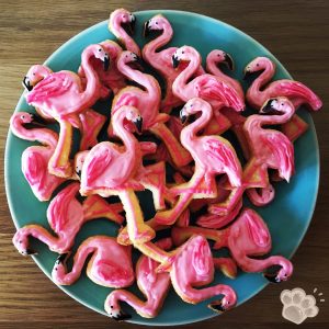 flamingo sugar cookies